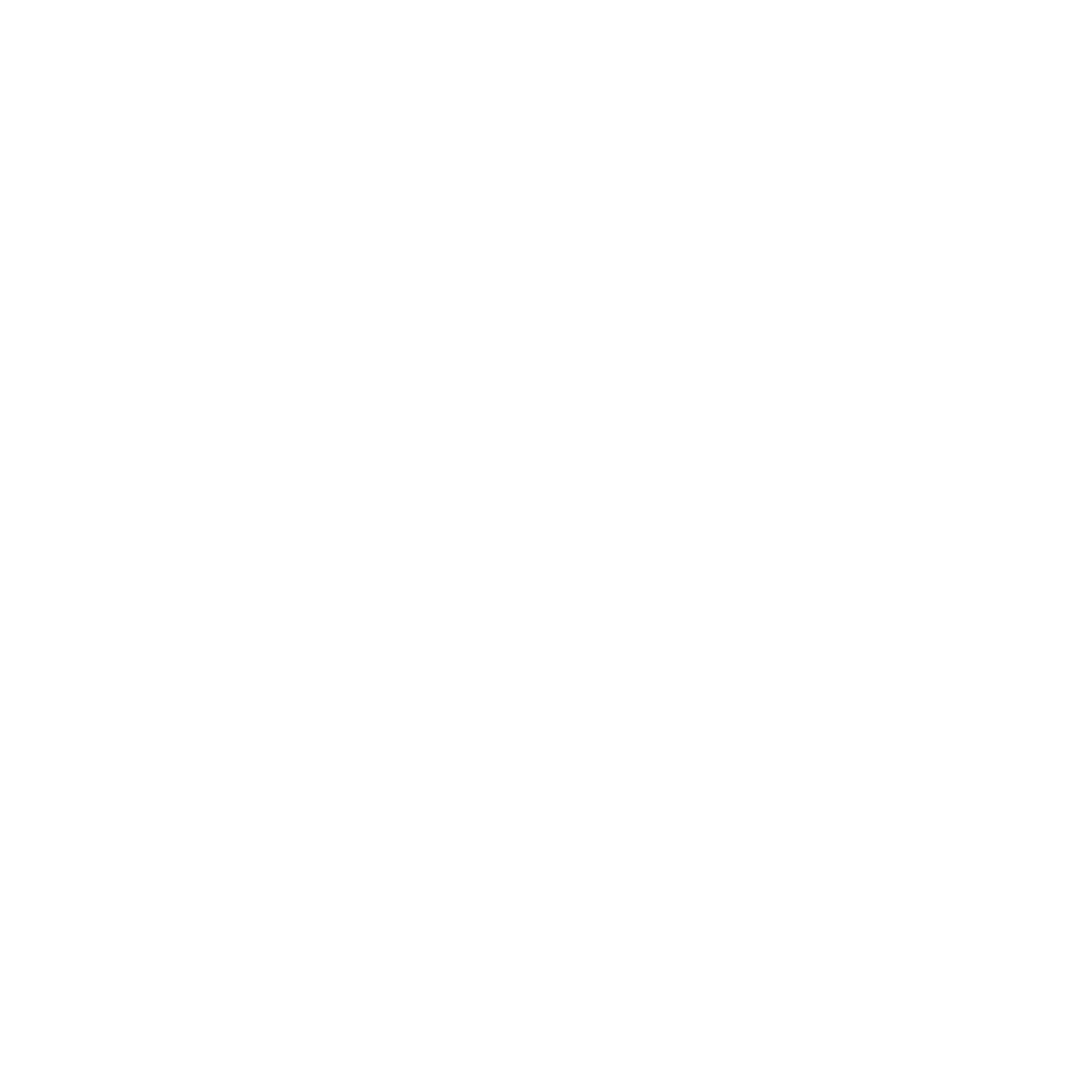 Ned Maestro